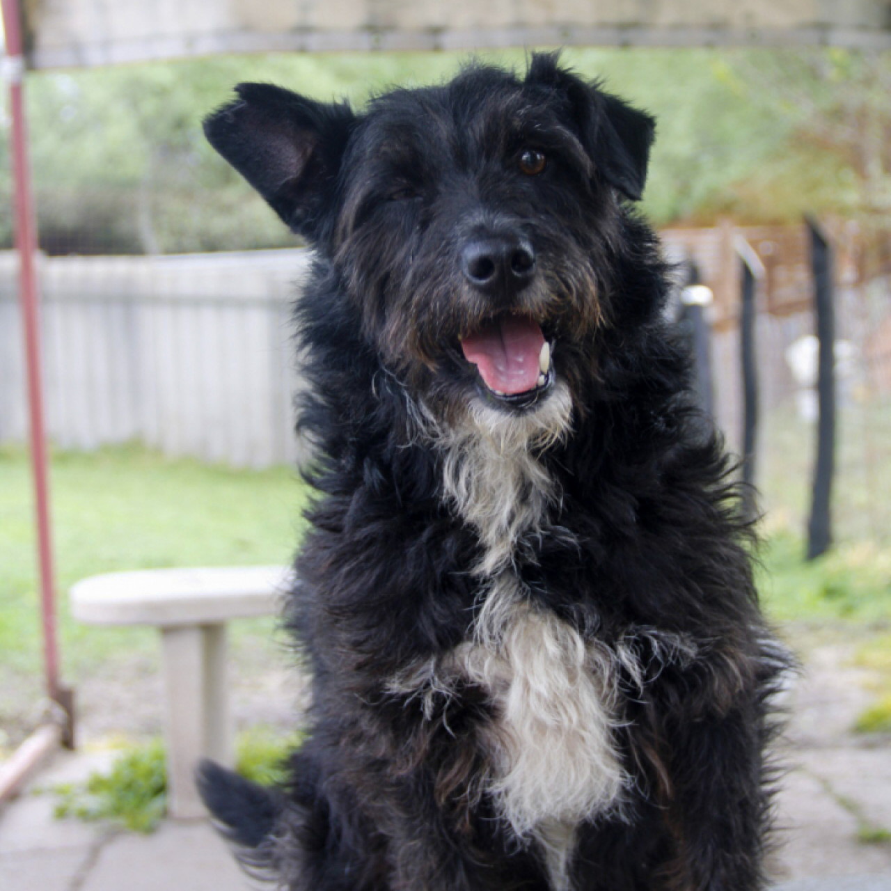 G&aacute;sp&aacute;rka gazdit keres