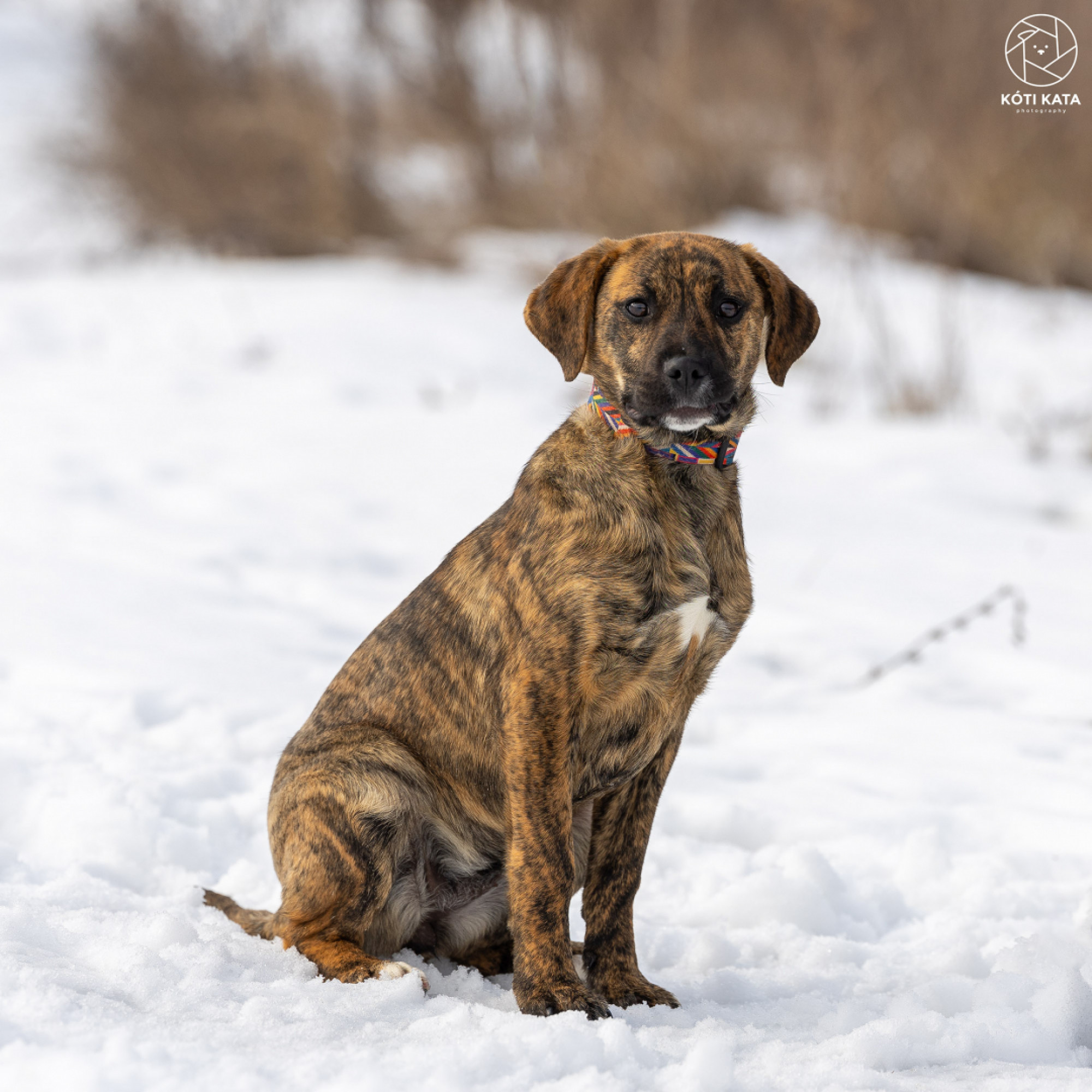 BAHAMA gazd&aacute;t keres
