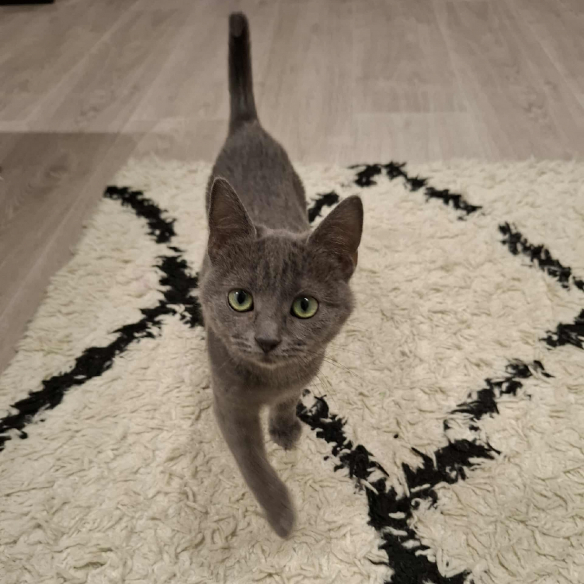 Mini és Masni – két kis csoda