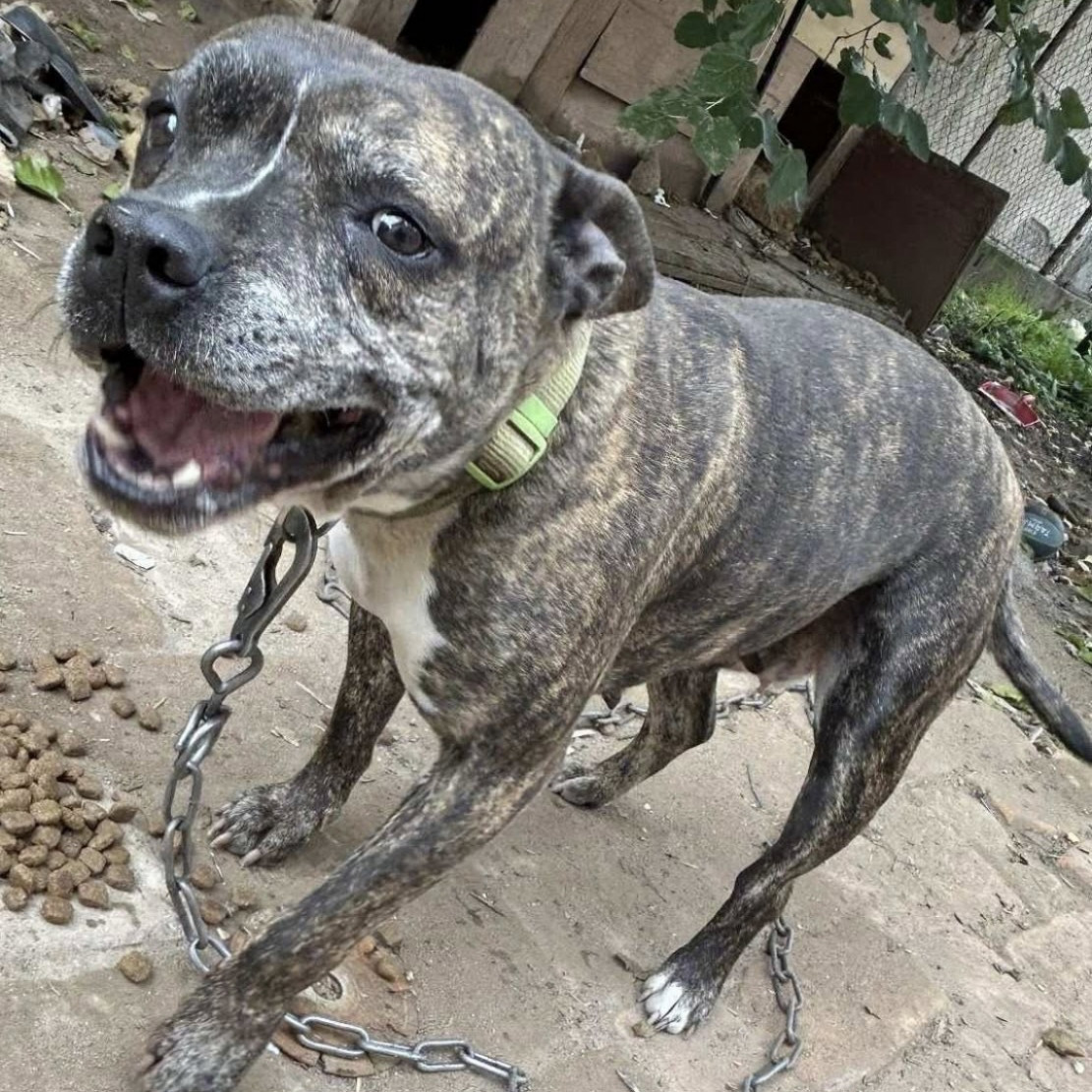 Chlo&eacute; gazdit keres