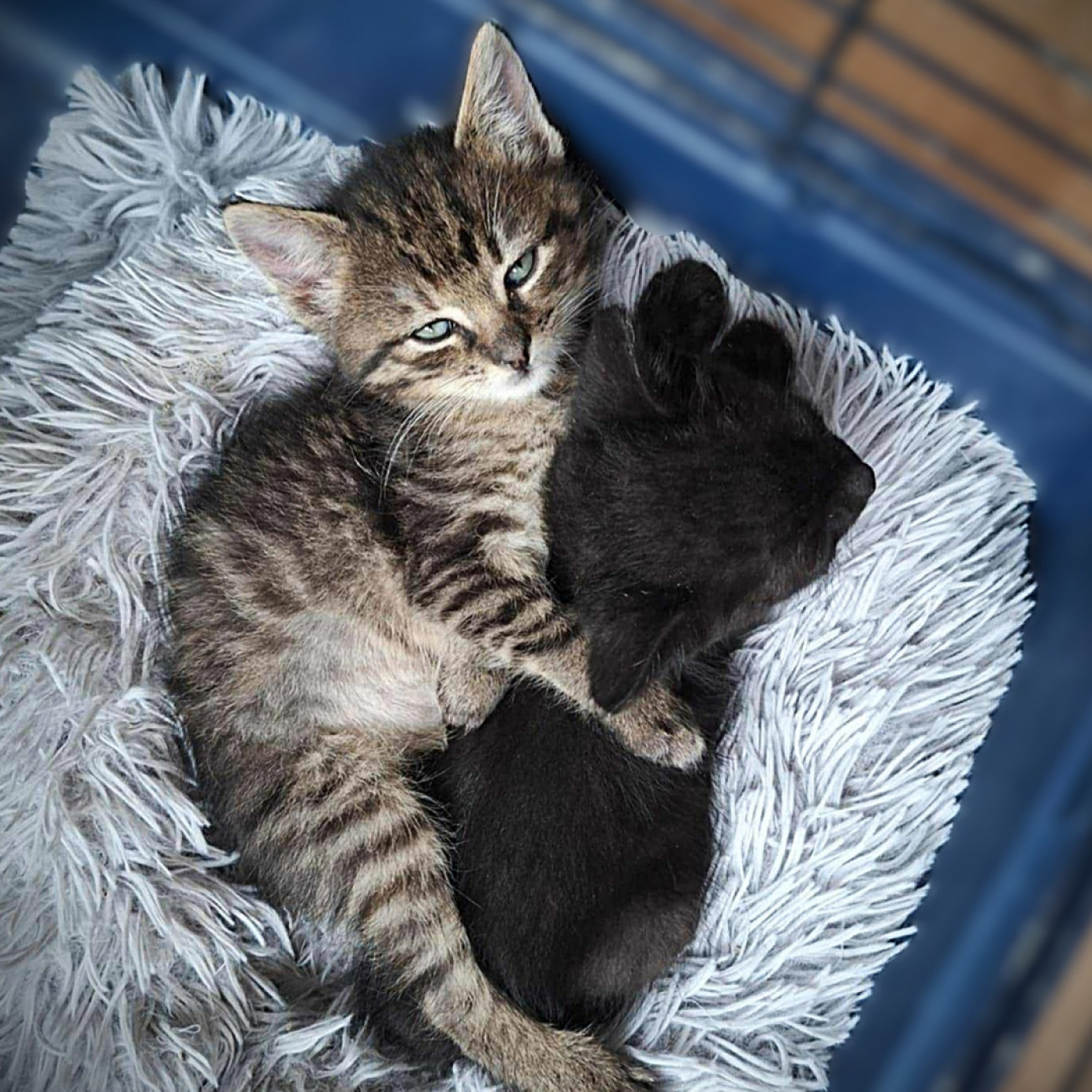 Eszpresszó és Mokka