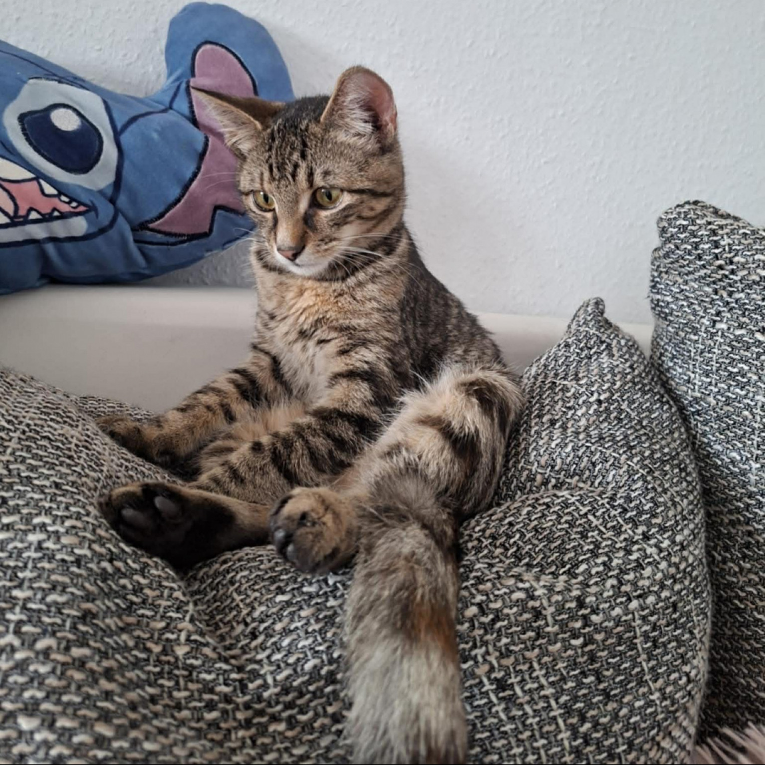 Eszpressz&oacute; &eacute;s Mokka