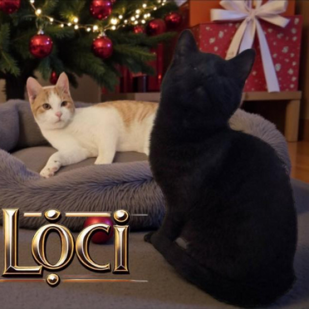 L&oacute;ci &eacute;s Loki gazdit keres