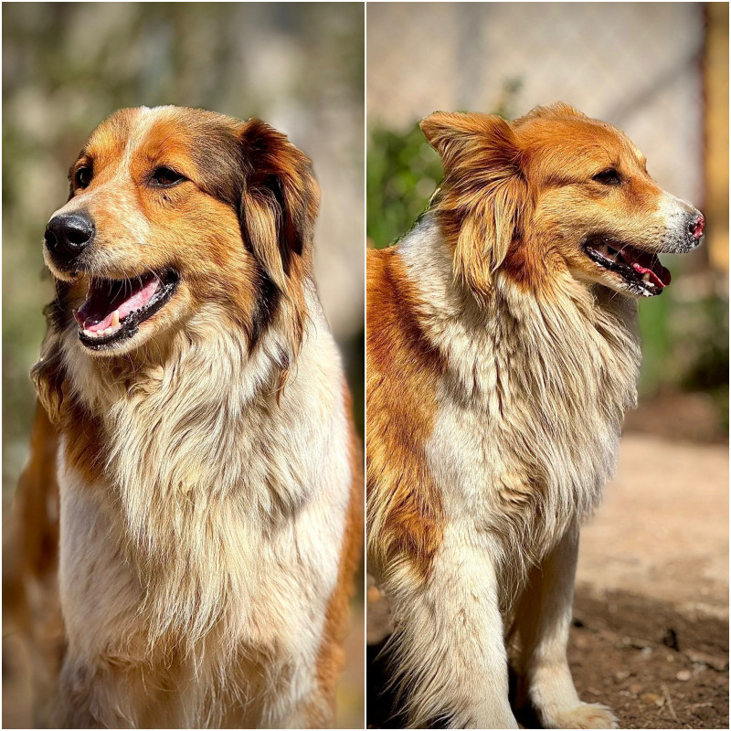 Mimi &eacute;s M&aacute;lna gazdit keres