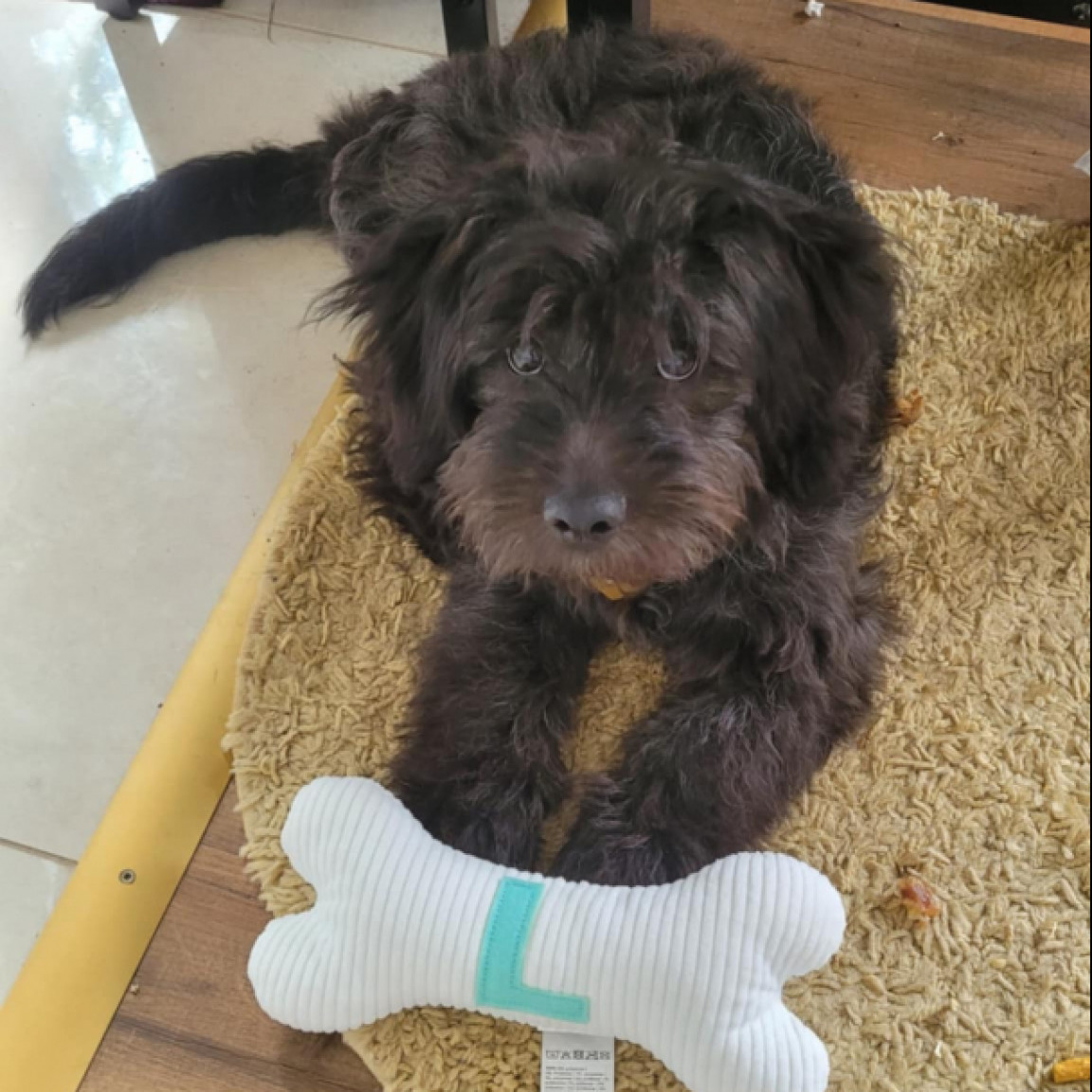 Liza 1éves ivartalanított